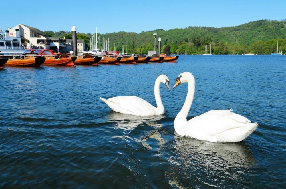 1 West End Boutique Apartment Bowness-on-Windermere Ngoại thất bức ảnh